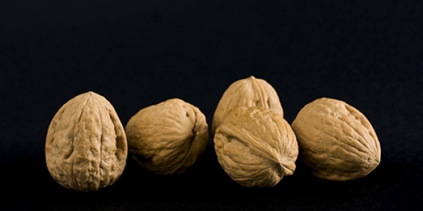 Nueces