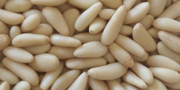 Pinones